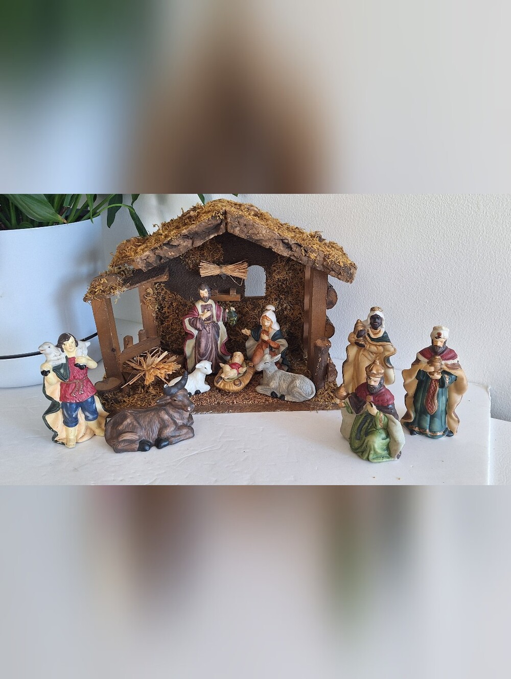 Nativity Scene - Picture 16 of 17